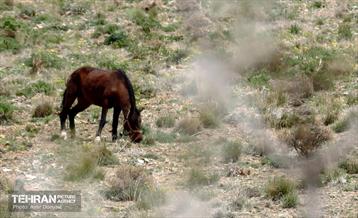 هوای بهاری منطقه 22 9