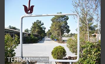 آخرین پنجشنبه سال در بهشت زهرا (س) 11