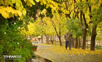 هوای پاییزی پایتخت 17