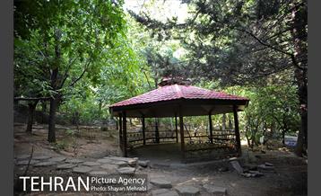 بوستان جمشیدیه 4