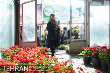 بازار گل شهید محلاتی در آستانه نوروز 31