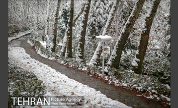 برف زمستانی پارک جمشیدیه 23