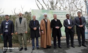 جشن درختکاری در منطقه ۵ 17