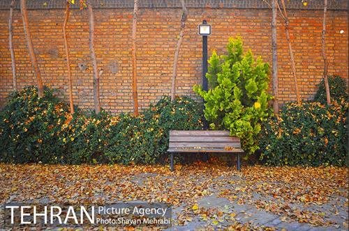 پاییز باغ موزه قصر 6