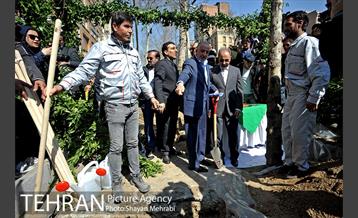 احیای درختان خیابان  ولیعصر( عج) با حضور شهردار تهران  24