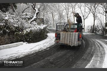 روز برفی تهران - 2 55
