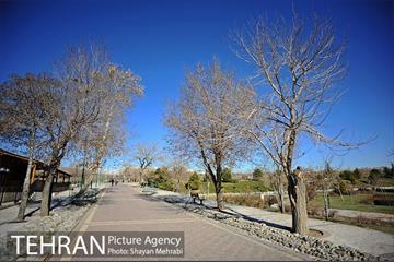 بوستان پلیس 45