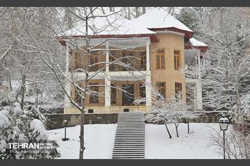 تهران برفی  6