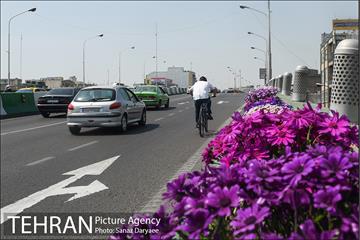 گل آرایی پل سیدخندان 24