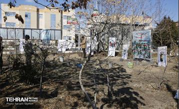 آیین کاشت 1310 نهال در منطقه 5 34