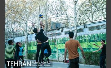 ورزش والیبال در پارک لاله‎ 13