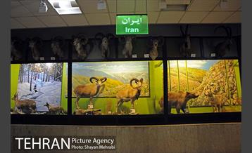 موزه حیات وحش پردیسان 43