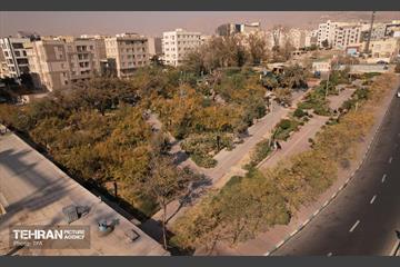 بوستان انارستان