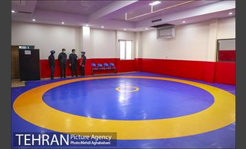 پویش سه شنبه های بدون خودرو در منطقه 8