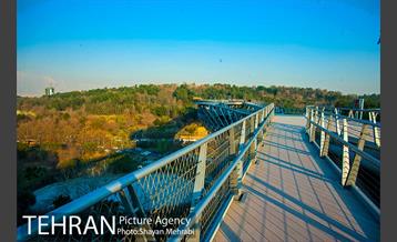 پاییز پل طبیعت 13
