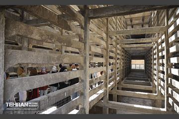 بازدید اعضای سازمان نظام مهندسی از پروژه‌های محله نفرآباد و کارخانه سیمان ری 17