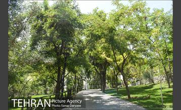 بوستان بهشت مادران 25