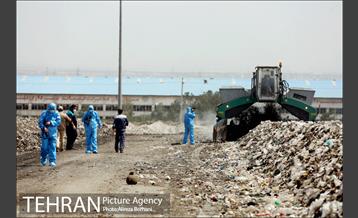 بازدید خبرنگاران از مجتمع پردازش و بازیافت زباله آرادکوه 12