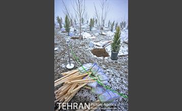 مراسم روز درختکاری با حضور شهردار تهران و رئیس مجلس 1