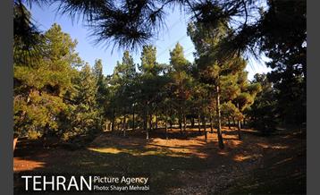 پارک جنگلی سرخه حصار 19