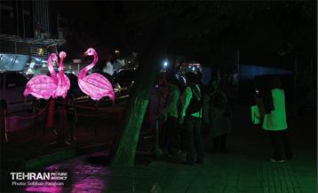 «جشن نور تهران» در بلوار کشاورز 33