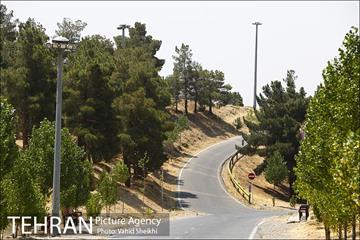بوستان جنگلی یاس فاطمی 23
