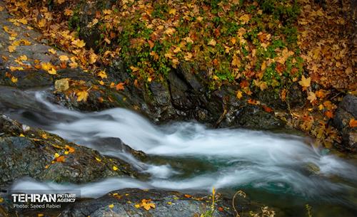 سمفونی رنگ های پاییزی - دربند 14