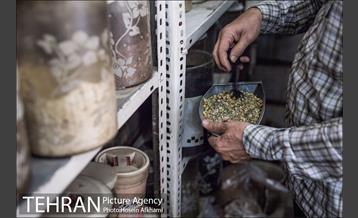 مغازه عطاری و داروهای گیاهی 23