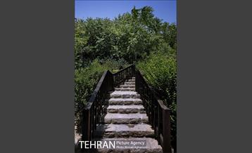 باغ پرندگان تهران 27