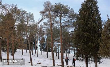 روز برفی در منطقه 13 26