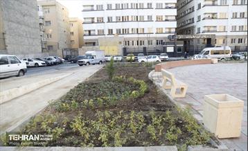 هشتادوششمین رویداد امیدوافتخار 34