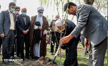 مراسم‌ کاشت نهال در بوستان بهاران منطقه ۱۷