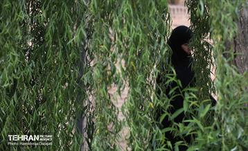 مراسم تکریم از بانوان شاغل  7