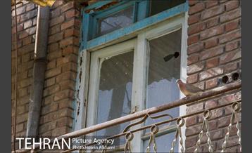 پنجره های شهر تهران 8