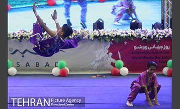 مراسم روز جهانی ووشو 8