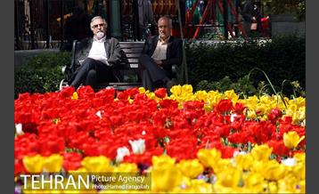 لاله های بهاری پارک شهر 20