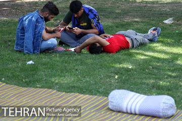 تماشاگران نودمین شهرآورد پایتخت 13