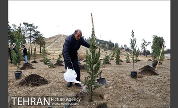 آغاز عملیات اجرایی نهضت درختکاری پردیس گردشگری 14