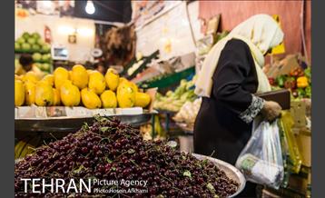 میوه های تابستانه رونق میوه فروشی ها 3