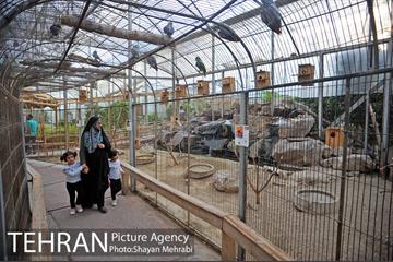 باغ پرندگان تهران 34