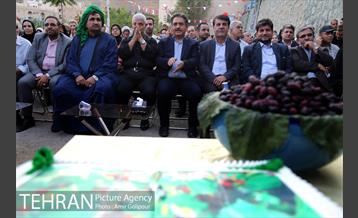 دومین جشنواره شاتوت دردهستان سولقان 34