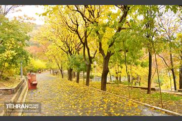 هوای پاییزی پایتخت 16