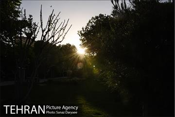 بوستان پلیس 21