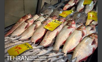 یلدایِ نجومی قیمت‌ها 18