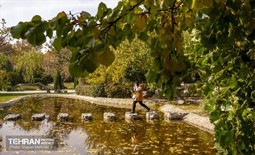 سمفونی رنگ های پاییزی / شایان محرابی