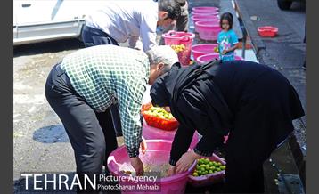 بازار میوه تربار مرکزی 33