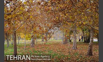باغ گیاه‌شناسی ملی ایران 24