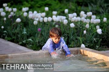 باغ ایرانی (بوستان مهندس مختاری) 12