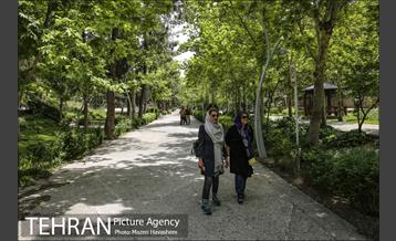 بوستان ساعی 19