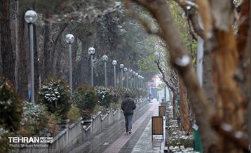بارش برف در تهران 24